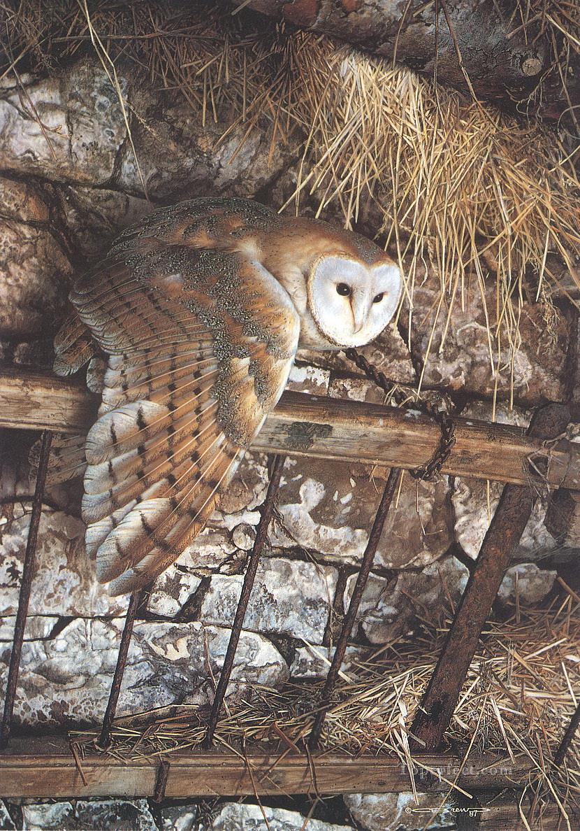 owl animaux Peintures à l'huile